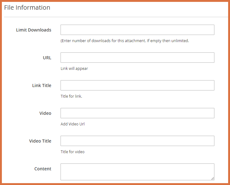 file information 2.png