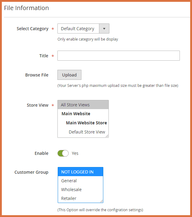 file information.png
